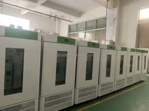 LAI-3T-N High-Precision LCD Screen Display Anaerobic Incubator Laboratory Thermostatic Devices For Anaerobe Research