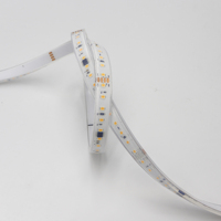 Bande LED intelligente adressable SMD2835 personnalisable, étanche, programmable par USB, pour aménagement paysager, 24V 2700K 3500K, en silicone