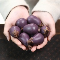 Figurines de thé en forme d'aubergine en sable violet faites à la main, figurines de thé de haute qualité pour le bureau