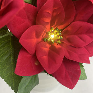 LED luminescente cinese rosso <span class=keywords><strong>Poinsettia</strong></span> <span class=keywords><strong>Bonsai</strong></span> vetrato da soggiorno Desktop luce notturna simulazione pianta in vaso verde transfrontaliera - Product Image 4