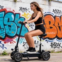 Vente directe usine – Scooter de golf électrique à quatre roues pliable en alliage, batterie au lithium ternaire, charge utile 200 kg, électronique