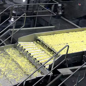 Chaîne de production de frites surgelées usagée : machine à frites de pommes de terre, machine à frites françaises de haute performance - Product Image 5