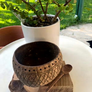 Best Seller Coconut Shell <b>Tea</b> <b>Light</b> & Candle Holder with Laser Engraving Eco-Friendly Heat Resistant Made in Vietnam for Easter - Product Image 1