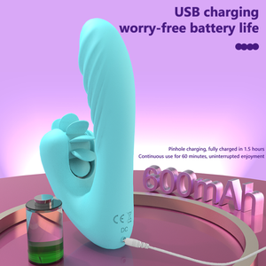 Çok Fonksiyonlu Isıtmalı Şarj Edilebilir Seyahat İntimite Araçları Kadınlar için Klitoris G Noktası Dildo Vibratör - Product Image 6