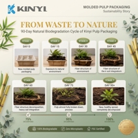 Boîte cadeau personnalisée en pulpe de papier de canne à sucre biodégradable et écologique de haute qualité pour l'électronique grand public