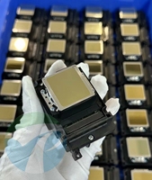 Printhead TX800 Asli F192040 Print Head DX8 DX10 UV TX800 Printhead Baru untuk Printer Epson