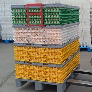 Fewer Breakages And Resuable Poultry <strong>Egg</strong> Handling Systems <strong>Egg</strong> Pallet Dividers And <strong>Egg</strong> Trays Systems - Product Image 1