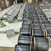 Venta Directa de Fábrica: Cable de Fibra Óptica para Exteriores G657A2 de 1.0mm 0.45mm/0.4mm, Cable de Bajada FTTH de 1F, 2KM/Rollo en Caja, Cubierta LSZH/PVC, Garantía de 5 Años