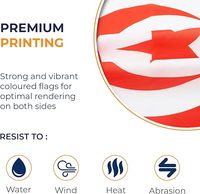 En Stock Vente en Gros 3x5 Ft Impression Drapeaux Nationaux Tunisiens Drapeaux Personnalisés Pas Cher