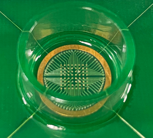 Elektroda MEA Berbasis ITO untuk Perekaman Ekstraseluler Multi-Site Non-Invasif dalam Penelitian In Vitro - Product Image 5