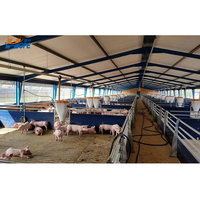Structure en acier moderne préfabriquée à faible coût, ferme de mouton, de chèvre, de grange, de maison, de laiterie, de vache, de hangar, de bétail, bâtiment de ferme