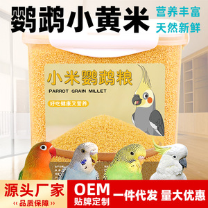 Nourriture pour oiseaux Millet jaune décortiqué Spécial pour perruches et calopsites Alimentation écologique pour animaux de compagnie - Product Image 5