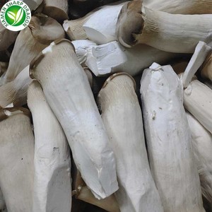 Frozen IQF King Huître Champignon Blanc Pleurotus <span class=keywords><strong>Eryngii</strong></span> Tranches En Vrac Organique Congélation Sain Naturel En Gros - Product Image 4