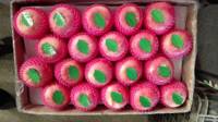 Fruits frais de qualité supérieure et à prix abordable, pommes rouges Fuji de l'usine chinoise