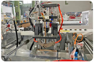 विकेट इकट्ठा बैग बनाने की मशीन के साथ स्वचालित उच्च गति प्लास्टिक चिकन बैग - Product Image 2