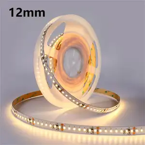 China Fornecedor LED Strip Light Outdoor Waterproof IP69 IP68 Led Strip Light 24V 2835 Ledstrips Night Lights para Stage Home