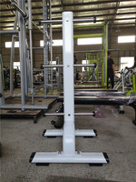 Vente directe d'usine chinoise, prix commercial réduit, machines de gym, équipement de fitness expert, support pour plaques de poids FF54 pour le fitness