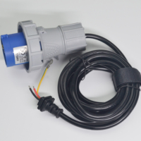 Câble d'extension de convertisseur de charge EV industriel robuste triphasé 16A avec fiche CEE pour moto et automobile, production en usine