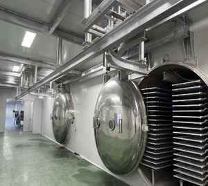 Fournisseur de solutions d'ingénierie clés en main : de la lavage des matières premières à la conception de l'aménagement du site d'emballage sous vide final - Product Image 6