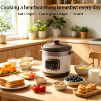 Marmite Électrique en Céramique à Grande Capacité avec Isolation Thermique Spéciale pour Cuisine, Grande Puissance, Durable, pour la Cuisson de Soupes et de Congé