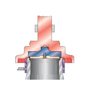 Válvula de Alivio de Alta Presión Leser 4422 4845 de 300 Bar, Nueva, para Sistemas de Procesamiento de Gas - Product Image 2