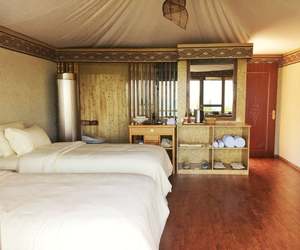 Serres de jardin préfabriquées en PVDF de 43 m², bâtiments avec murs et toit isolés pour les stations climatiques extrêmes - Product Image 2