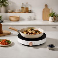 Table de cuisson à induction électrique 2000W en gros avec panneau en verre cristallin anti-explosion pour cuisine