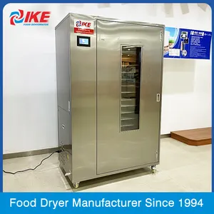 Industrial Dryer Machine WRH-100B Commercial Fruit And Vegetable Dryer Fish Fig Drying Equipment
