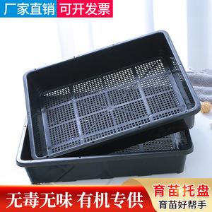 <b>Rectangular</b> Seedling Tray 20 Cells Drainage Hole Multi Purpose <b>Plant</b> <b>Pot</b> Rack For Succulent Vegetable Leaf Cutting - Product Image 4