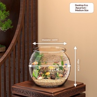 Aquarium de salon écologique pour petits poissons d'eau douce, tortues et poissons rouges, transparent, pour bureau et maison, hydroponique, sélectionné avec soin