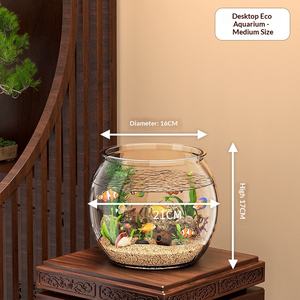 Aquarium de salon écologique pour petits poissons d'eau douce, tortues et poissons rouges, transparent, pour bureau et maison, hydroponique, sélectionné avec soin - Product Image 6