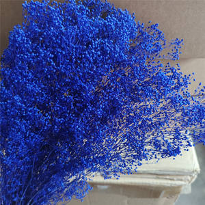 Nouvelle Mini Guirlande <span class=keywords><strong>Ciel</strong></span> Étoilé 2026, avec Poteau Dissimulé, Fleurs Blanches et Roses Fraîchement Conservées, pour Mariage, Fête des Mères, Noël - Product Image 2