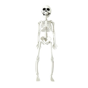 <span class=keywords><strong>Scheletro</strong></span> in Plastica da 30CM per <span class=keywords><strong>Halloween</strong></span>, Imitazione Osso Umano, Decorazione per Interni, Accessori per Bar e Feste a Tema - Product Image 5