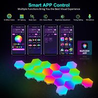 Guirlandes lumineuses LED RGB Boyid Dream Color, bande flexible, connectées par USB, IP65, télécommande, intensité réglable, pour chambre à coucher, rideau