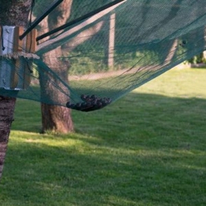 Hoogwaardig Olijf Verzamelnet Met Uv-Bescherming Groene Kleur Kunststof Oogstnet Met Hoge Treksterkte Olijven - Product Image 6