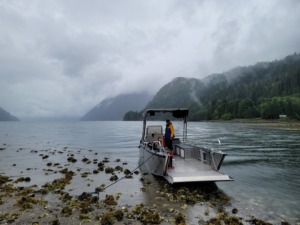 Bateau de pêche en aluminium de 5,8 m, petit bateau de plaisance familial à vendre - Product Image 1