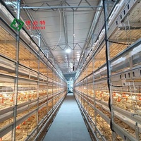 Équipement d'élevage entièrement automatisé pour animaux et volailles Fournitures agricoles Système de cage pour poulets de chair Poulet