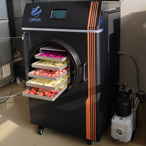 Lyophilisateur haute efficacité, petit sécheur par congélation domestique avec chambre en acier inoxydable et nettoyage facile pour la cuisine domestique et les petites productions - Product Image 1