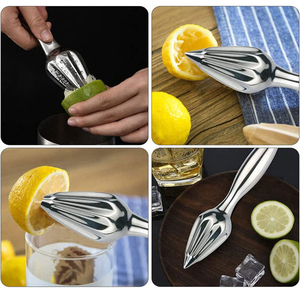 Presse-agrumes manuel en acier inoxydable DF409 8.07, presse-fruits manuelle - Product Image 2