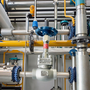 Livraison rapide - Système de tuyauterie soudée ASTM 580PISG - Vanne à globe cryogénique pour le stockage de gaz liquéfié - Product Image 5