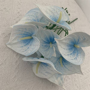 Gros plante d'anthurium bleue pour une belle dcoration de maison -  Alibaba.com