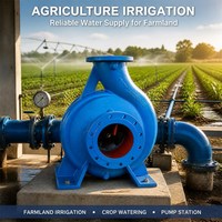 Pompe à eau centrifuge monophasée à entraînement par courroie 5 kW 6 pouces pour moteur diesel haute pression, idéale pour l'irrigation