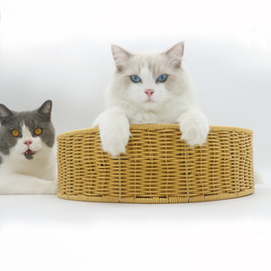 Lit rond en rotin pour chat avec noyau remplaçable, style minimaliste durable, arbre à chat pour chats d'intérieur - Product Image 3
