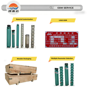 <span class=keywords><strong>Pompe</strong></span> submersible pour puits profond en fonte, avec moteur électrique en cuivre, débit de 5-1000 m³/h, hauteur de refoulement de 6-1000 m, puissance de 4-435 ch, pour applications de 5,91 à 11,81 pouces - Product Image 3