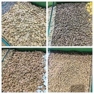 Línea de Producción de Alimento para Perros de Doble Tornillo 100-500kg/h - Product Image 5