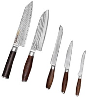 Professionele Damascus Koks Mes Hoog Koolstofstaal 67 Lagen Pakka Hout Handvat Restaurants Keuken Uitbenen Vlees Steak Messen Set