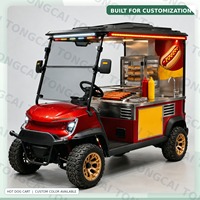 TONGCAI Petit camion électrique à crème glacée, chariot à desserts mobile personnalisé pour sites touristiques