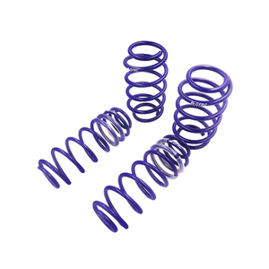 사용자 정의 크롬 스테인레스 스틸 코일 스프링 엘리베이터 버퍼 스프링 니켈 표면 처리 자동차 오토바이 - Product Image 6