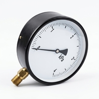 Commercial Pressure Gauge Brass Threaded Fitting Stainless Steel Case Pressure Gauge for Water Gas Oil Pipeline