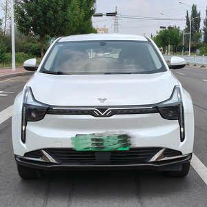 Veicolo Elettrico Usato Affidabile ed Economico 2023 NETA <span class=keywords><strong>Auto</strong></span> <span class=keywords><strong>U</strong></span> II 400 <span class=keywords><strong>U</strong></span> Show Edition con Batteria al Litio Ternaria - Product Image 1